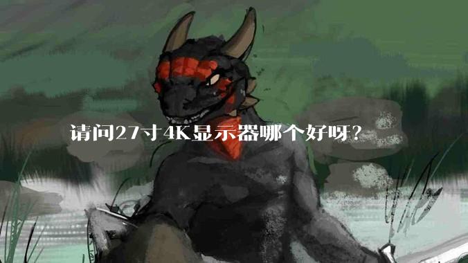 请问27寸4K显示器哪个好呀？