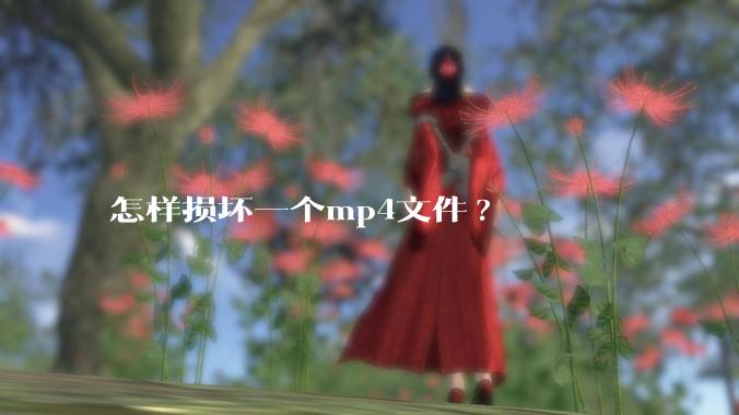 怎样损坏一个mp4文件?