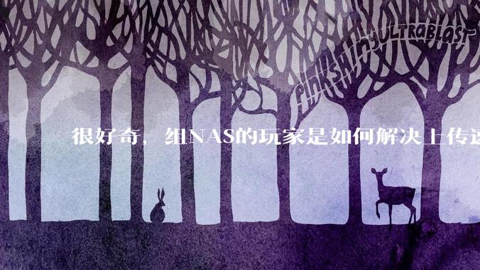 很好奇，组NAS的玩家是如何解决上传速率的问题?